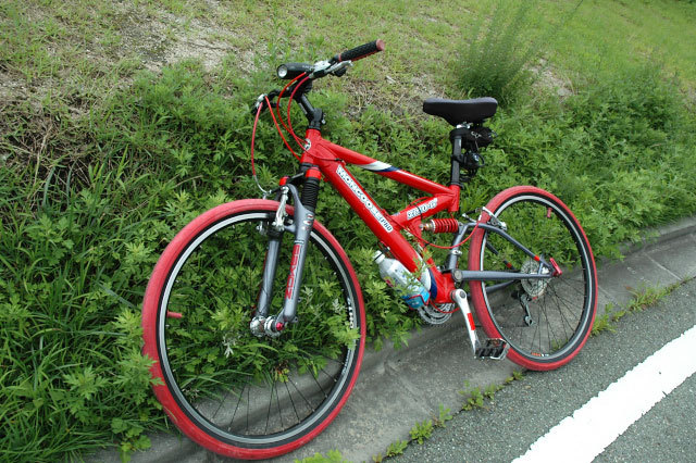 マングース19号