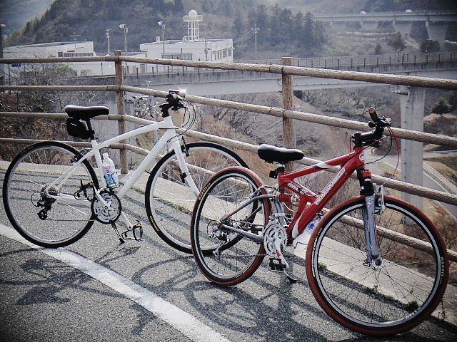 シラス＆マングース